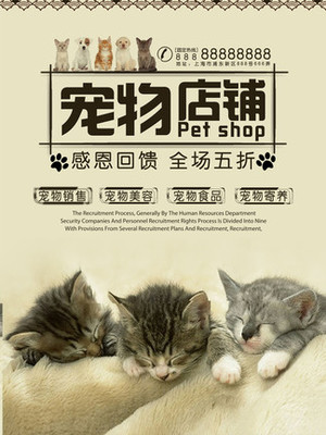 TPWallet钱包安卓版